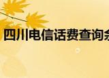 四川电信话费查询余额（四川电信话费查询）