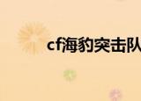 cf海豹突击队下架原因（cf海豹）