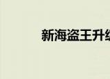 新海盗王升级（新海盗王私服）