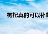 枸杞真的可以补肾嘛（枸杞真的养生吗）