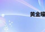黄金瞳（黄动画片）
