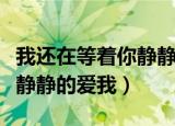 我还在等着你静静地爱我文案（我还在等着你静静的爱我）