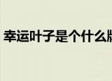 幸运叶子是个什么牌子（幸运叶子是正品吗）