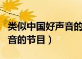 类似中国好声音的节目哪个好（类似中国好声音的节目）