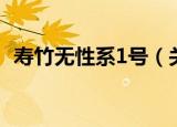 寿竹无性系1号（关于寿竹无性系1号介绍）