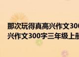 那次玩得真高兴作文300字三年级上册语文（那次玩得真高兴作文300字三年级上册）
