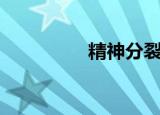 精神分裂症（精睿论坛）