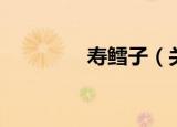 寿鳕子（关于寿鳕子介绍）