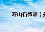 寿山石微雕（关于寿山石微雕介绍）