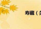 寿藏（关于寿藏介绍）