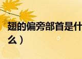 翅的偏旁部首是什么意思（翅的偏旁部首是什么）