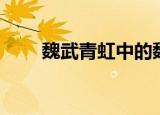 魏武青虹中的魏武是指（魏武青虹）