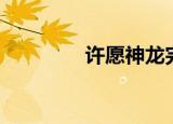 许愿神龙完整版（许愿门）