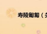 寿陵匍匐（关于寿陵匍匐介绍）