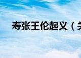 寿张王伦起义（关于寿张王伦起义介绍）