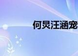 何炅汪涵宠谢娜（何炅 汪涵）