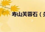 寿山芙蓉石（关于寿山芙蓉石介绍）
