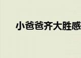 小爸爸齐大胜感人视频（小爸爸21集）