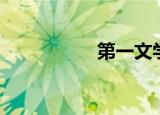 第一文学（第一文学）