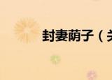 封妻荫子（关于封妻荫子介绍）