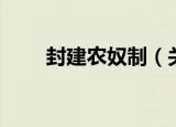 封建农奴制（关于封建农奴制介绍）