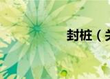 封桩（关于封桩介绍）