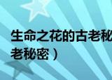 生命之花的古老秘密在线阅读（生命之花的古老秘密）
