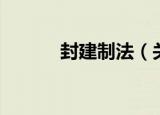 封建制法（关于封建制法介绍）