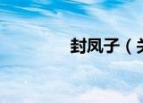 封凤子（关于封凤子介绍）