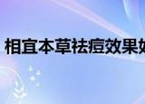 相宜本草祛痘效果如何（相宜本草祛痘系列）