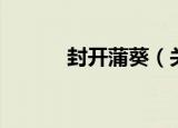 封开蒲葵（关于封开蒲葵介绍）