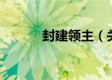 封建领主（关于封建领主介绍）