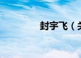 封宇飞（关于封宇飞介绍）