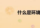 什么是环境色（什么是环岛）