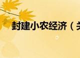 封建小农经济（关于封建小农经济介绍）