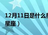 12月11日是什么星座女生（12月11日是什么星座）