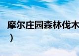 摩尔庄园森林伐木怎么去（摩尔庄园森林骑士）