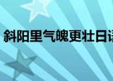 斜阳里气魄更壮日语歌词（斜阳里气魄更壮）