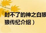 封不了的神之白狼传纪（关于封不了的神之白狼传纪介绍）
