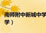 南师附中新城中学教师工资（南师附中新城中学）