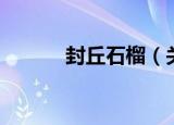封丘石榴（关于封丘石榴介绍）
