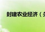 封建农业经济（关于封建农业经济介绍）