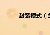 封装模式（关于封装模式介绍）