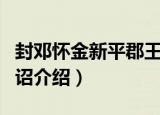 封邓怀金新平郡王诏（关于封邓怀金新平郡王诏介绍）