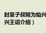 封皇子叔陵为始兴王诏（关于封皇子叔陵为始兴王诏介绍）