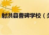 射洪县曹碑学校（关于射洪县曹碑学校介绍）