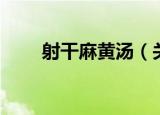 射干麻黄汤（关于射干麻黄汤介绍）