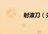 射波刀（关于射波刀介绍）