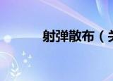 射弹散布（关于射弹散布介绍）