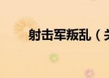 射击军叛乱（关于射击军叛乱介绍）